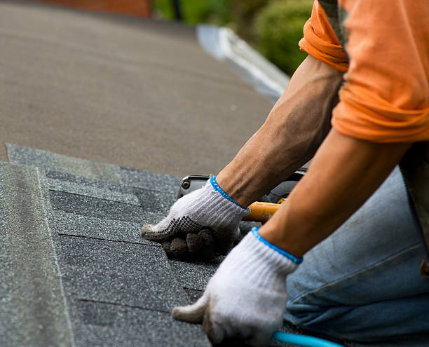 Best Local Roofing Companies  in South Park, WY